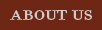 About Walton Street Web Design
