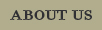 About Walton Street Web Design
