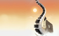Chicago Web Design from Walton Street Web Design