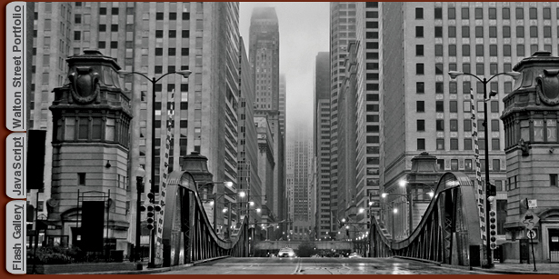 Chicago Web Design from Walton Street Web Design