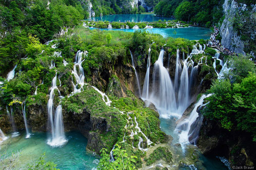 Chicago Web Design from Walton Street Web Design